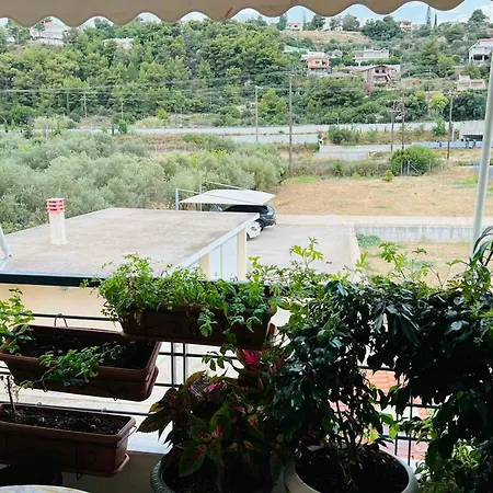Elena's Seaview Maisonette